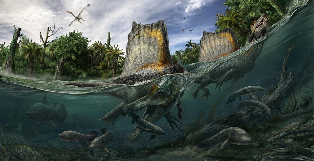 The Kem Kem Beds - Fossil Discoveries in Morocco 2 2 jurassicpark
