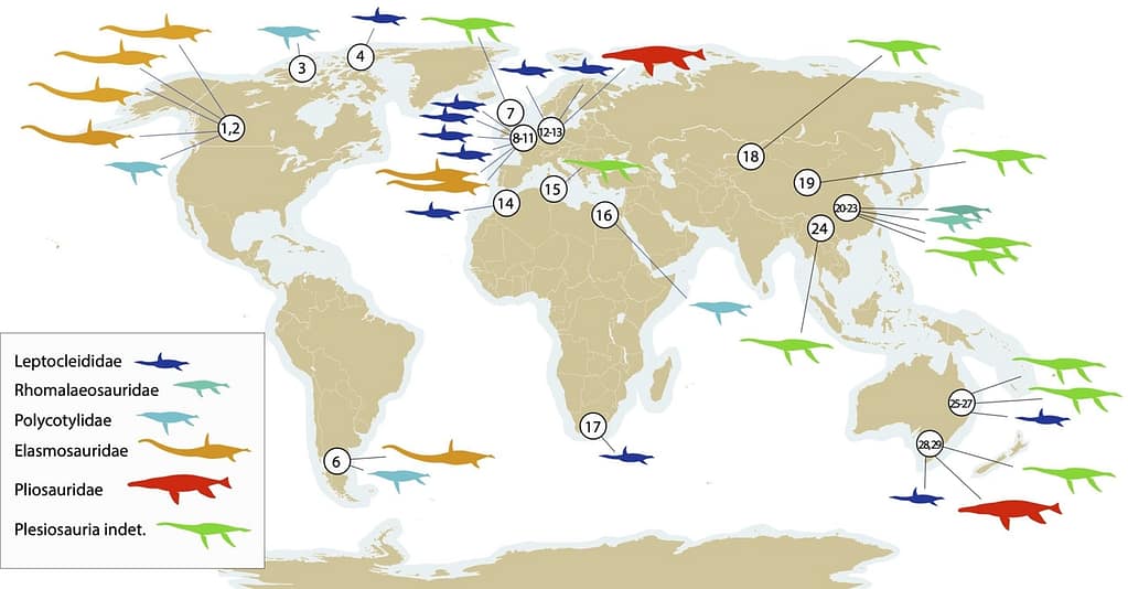Plesiosaurs Adapted to Freshwater Environments 4 plesiosaur fossils fou 2