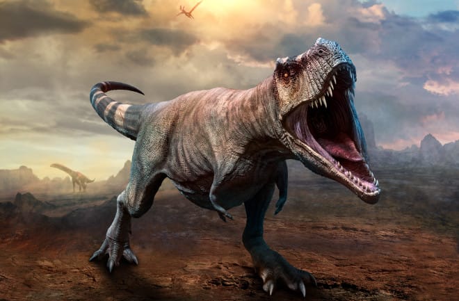 Two New Abelisaurid Dinosaurs Uncovered In Morocco Two New Abelisaurid Dinosaurs Uncovered In Morocco