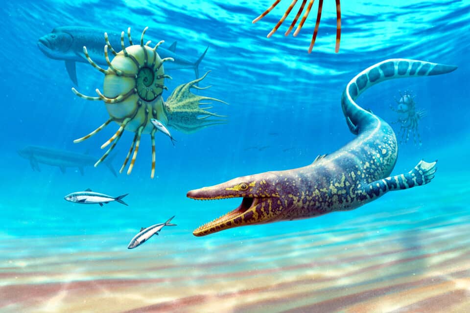 Remarkable Discovery of Sarabosaurus Dahli 3 Sarabosaurus credit Andrey Atuchin 1medium 960x640